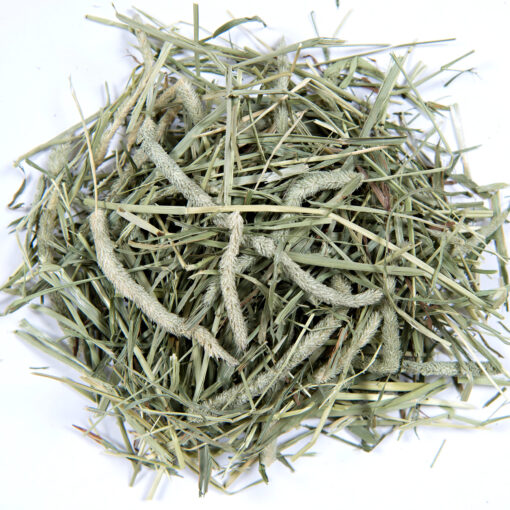 Small Pet Select 1st Cutting Timothy Hay - Image 2
