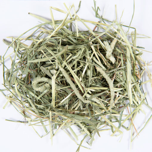 [PRE-ORDER END NOV 2025 DELIVERY] Small Pet Select 2nd Cutting Timothy Hay - Image 2