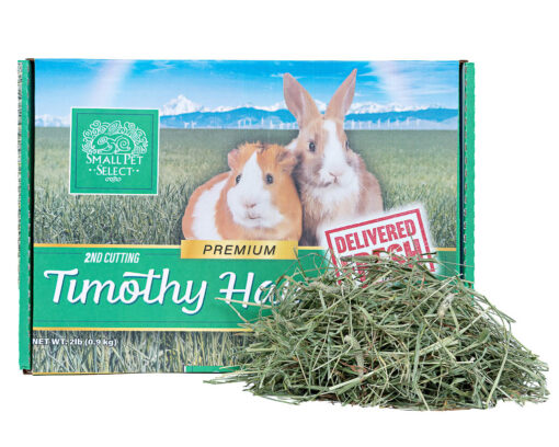 [PRE-ORDER END NOV 2025 DELIVERY] Small Pet Select 2nd Cutting Timothy Hay