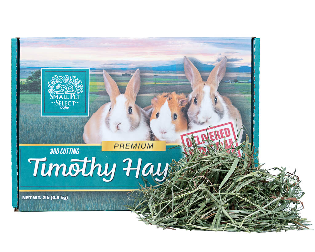 Small Pet Select 3rd Cutting Timothy Hay