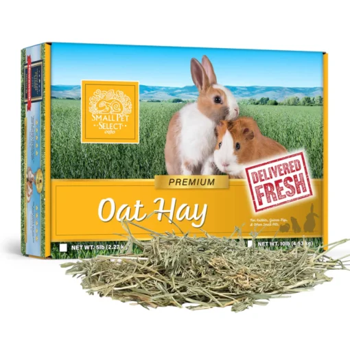 Small Pet Select Oat Hay