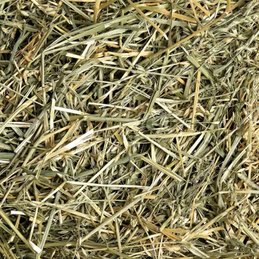 Small Pet Select Oat Hay - Image 2