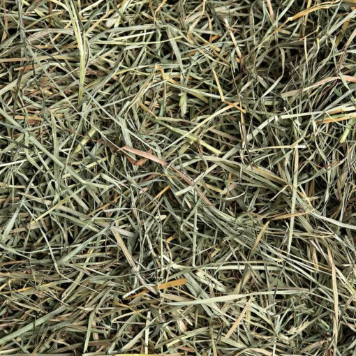 Small Pet Select Orchard Hay - Image 4