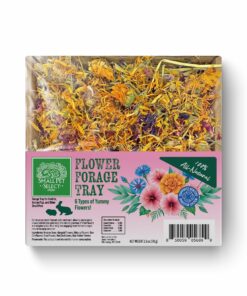 Small Pet Select Flower Forage Tray