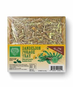 Small Pet Select Dandelion Forage Tray