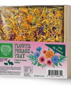 Alternative view of Small Pet Select Flower Forage Tray