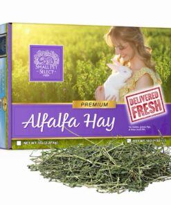 Small Pet Select Alfalfa Hay