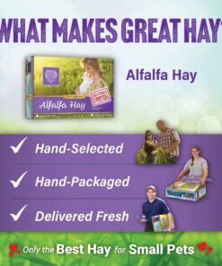 Alternative view of Small Pet Select Alfalfa Hay